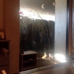 ステーキ屋 甚 - H25.02　店内から見える滝