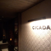 CICADA - 超かっこいいっす！