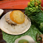 171303113 - 貝合わせの形で出てきた蛤の飯蒸し。乾燥金柑も一緒に蒸されている。山葵の葉を下に敷き、それで巻いて食べる。蛤の上には土筆がある。
