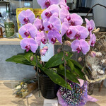 AIMU - １周年おめでとうございます⭐︎