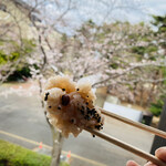 丸政野原商店 - 桜をバックに赤飯♪