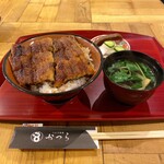 うなぎ茶屋 かつら - うな丼(上)