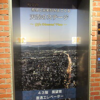 forty three - 