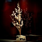 たかおか - 高岡さんが活けるお花は、すっとした桜でした。