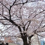 一〇そば - なぜこうもﾜｸﾜｸするのでしょう