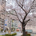 一〇そば - 奇麗だな～