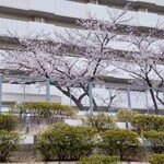 一〇そば - 朝から目の保養になりました