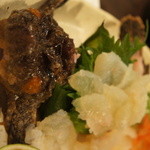 酒嗜　ふる川 - オコゼ