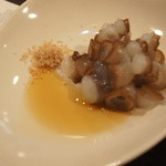 酒嗜　ふる川 - たこ吸盤