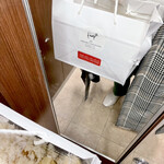 The INNOCENT CARVERY - 