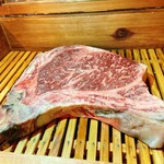 アカミヤコウシ - 