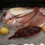 ピスカリア - 入口のケースで食材がお出迎え！