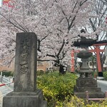 家庭料理居酒屋 よってって - 氷川神社一の鳥居⛩桜満開です