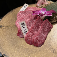 PONGA PREMIUM - 