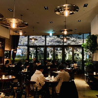 ユニオン スクエア トウキョウ - 桜満開！