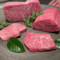 USHIGORO S. SHINJUKU - 