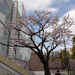 ラーメン二郎 - 寂しい枝だ