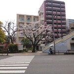 ラーメン二郎 - 見事に伐採されちゃってる