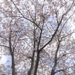 ラーメン二郎 - 青空ならな～