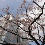 ラーメン二郎 - それでも咲き誇ってる