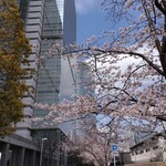 ラーメン二郎 - 8部咲きなのかな