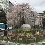 Kafe Beru - 上野の桜