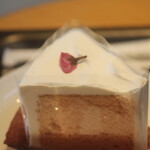 スターバックスコーヒー - 料理写真:さくらシフォンケーキ
