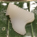 地魚料理・鮨 佐々木 - 泥障烏賊