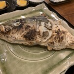 地魚料理・鮨 佐々木 - 8kgの鰤　本日来たばかりなのでカマ焼きで