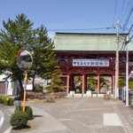 Teuchi Udon Toda - 甲斐善光寺でお花見、もうすく御開帳があります