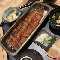 うなぎ四代目菊川 ミッドランドスクエア 名古屋本店 - 