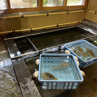 博多料亭 稚加榮 - 