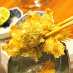 天婦羅 みやしろ - ふきのとう