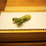 天婦羅 みやしろ - タラの芽