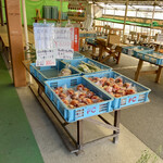 道の駅富有柿の里いとぬき ふれあいセンター - 料理写真:富有柿の売場