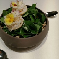 RISPETTO - 
