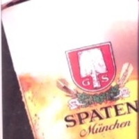 シュタインハウス 銀座店 - ビール