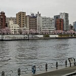 モンブラン - 隅田川の桜も間もなく満開かな。