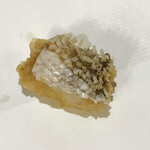 柳橋 大黒家 - 甘鯛