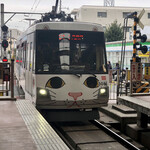 さか本そば店 - 招き猫に乗車できるとは運がいいね