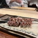 茂幸 - 蛍烏賊～♡