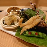 津の守坂 小柴 - 