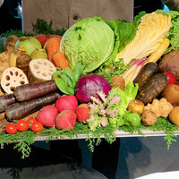 レフェルヴェソンス - 