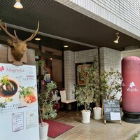 Magnolia - 