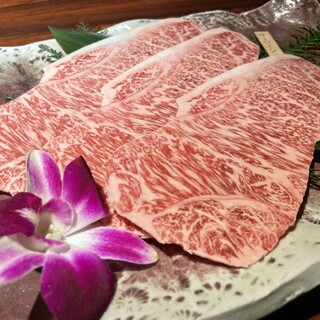 [This year's highest priced Kobe beef is offered at regular price]