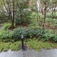 キャトルラパン - 