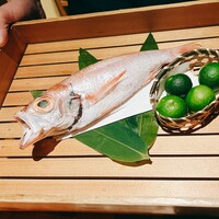 のどぐろ専門 銀座中俣 はなれ - 