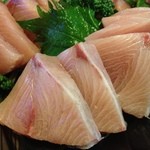 新潟本町 鈴木鮮魚 - 美しいサシの鰤。新潟の冬の王様です。