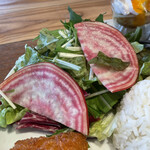 マンゴツリーカフェ - 
