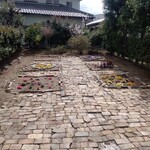 陽なたぼっこ - 春っすね。